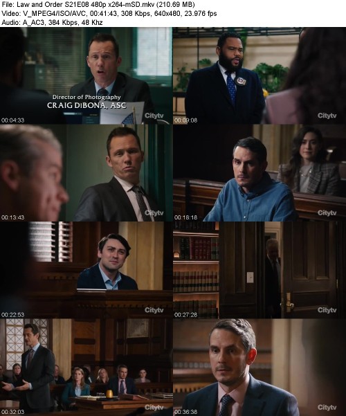 Law and Order S21E08 480p x264-[mSD]