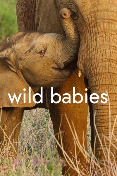 Wild Babies S01E03 XviD-[AFG]