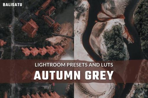 Autumn Grey LUTs and Lightroom Presets Autumn Grey LUTs and Lightroom Presets