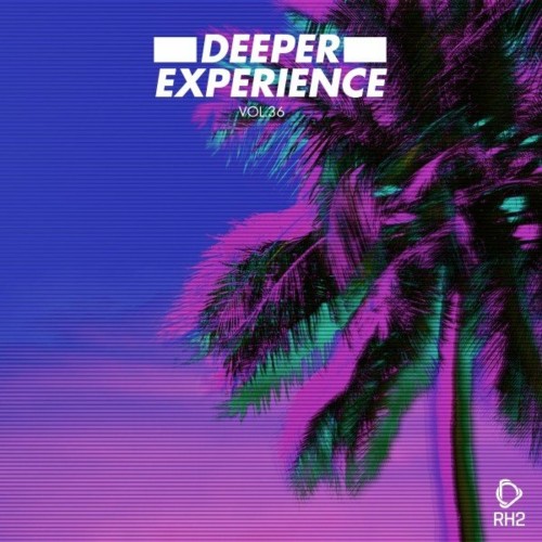 Deeper Experience, Vol. 36 (2022)