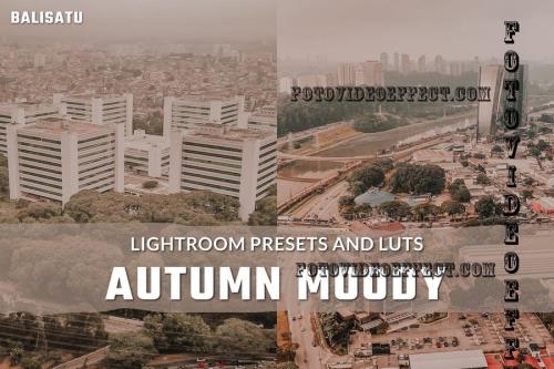 Autumn Moody LUTs and Lightroom Presets