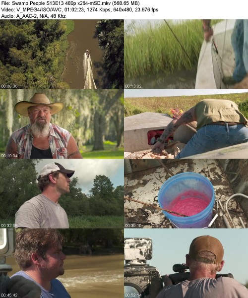 Swamp People S13E13 480p x264-[mSD]