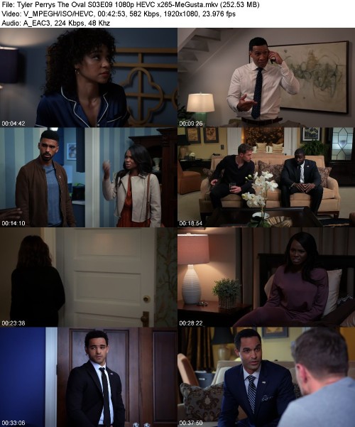 Tyler Perrys The Oval S03E09 1080p HEVC x265-[MeGusta]