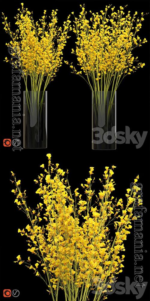3D Models Big Bouquet Orchid Oncidium in a Vase