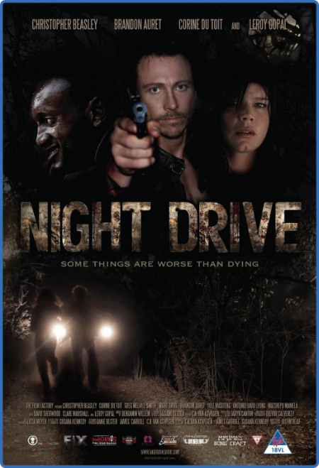 Night Drive 2010 1080p BluRay x265-RARBG