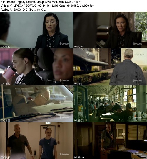 Bosch Legacy S01E03 480p x264-[mSD]