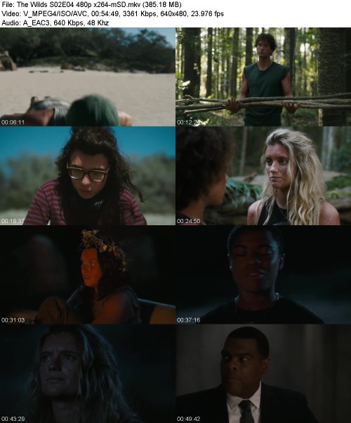 The Wilds S02E04 480p x264-[mSD]