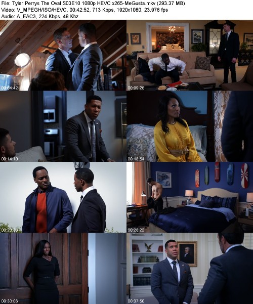 Tyler Perrys The Oval S03E10 1080p HEVC x265-[MeGusta]