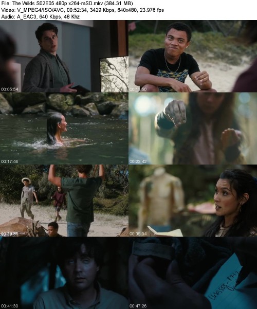 The Wilds S02E05 480p x264-[mSD]