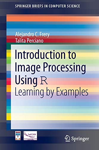 Introduction to Image Processing Using R: Learning by Examples by Alejandro C. Frery