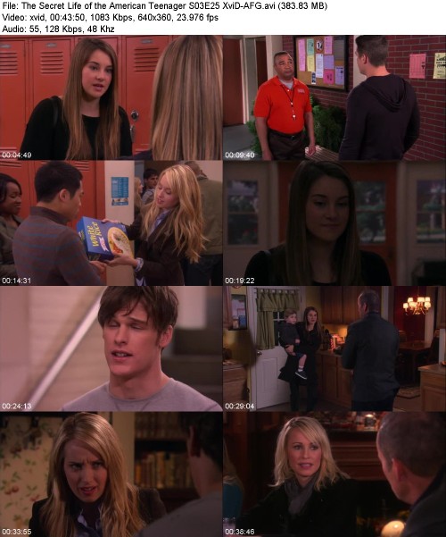 The Secret Life of the American Teenager S03E25 XviD-[AFG]