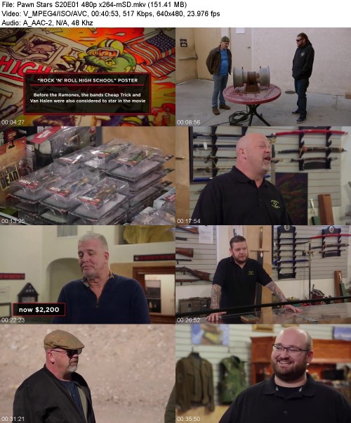 Pawn Stars S20E01 480p x264-[mSD]