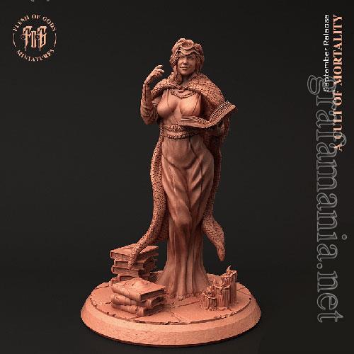 3D Print Models Cult Leader - Female Wizard (Drider Human Form)
