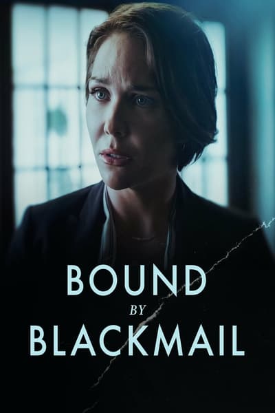 Bound by Blackmail 2022 HDTV x264-OMiCRON