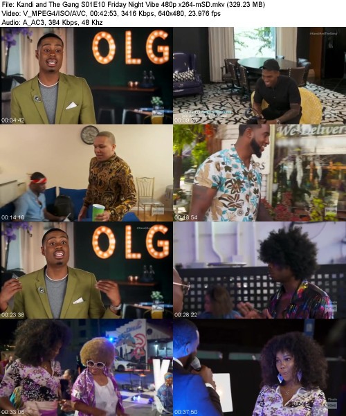 Kandi and The Gang S01E10 Friday Night Vibe 480p x264-[mSD]