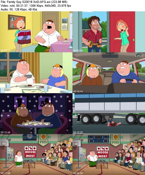 Family Guy S20E18 XviD-[AFG]