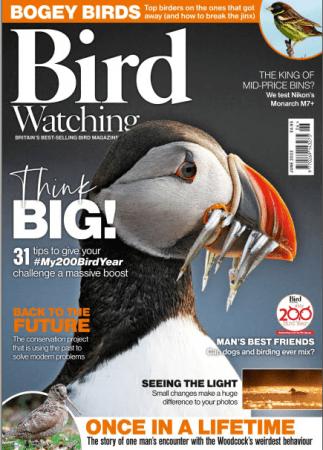 Bird Watching UK   June 2022