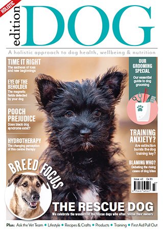 Edition Dog   Issue 43, 2022