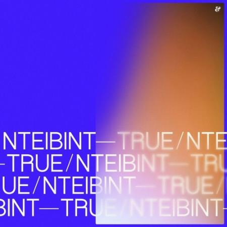 NTEIBINT - True (2022)