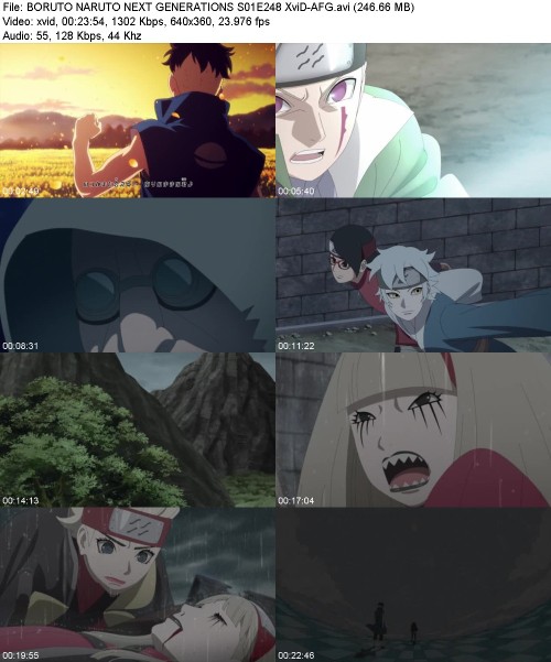 BORUTO NARUTO NEXT GENERATIONS S01E248 XviD-[AFG]