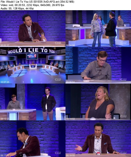 Would I Lie To You US S01E05 XviD-[AFG]