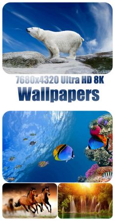 7680x4320 Ultra HD 8K Wallpapers