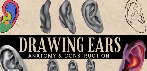 Drawing Ears At Any Angle – Anatomy to Improve Your Art