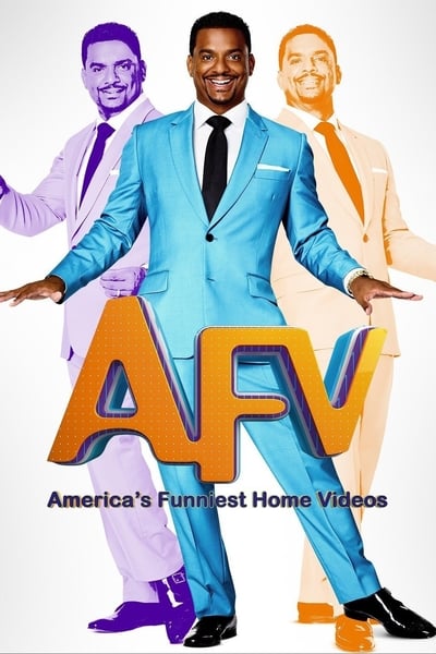 Americas Funniest Home Videos S32E20 720p HEVC x265-[MeGusta]