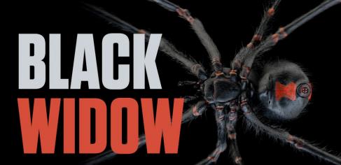 Black Widow – Model, Texture, Rig and Animate a Spider in Cinema 4D