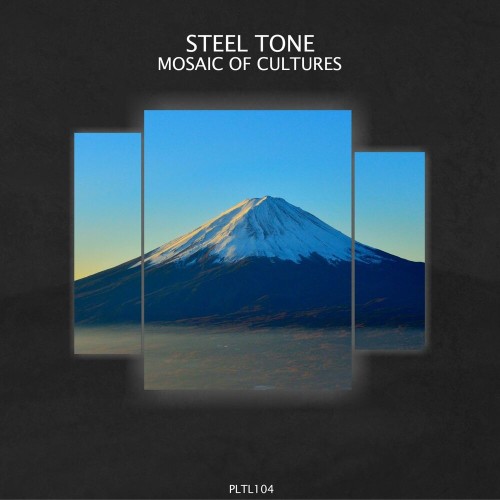 Steel Tone - Mosaic of Cultures (2022)