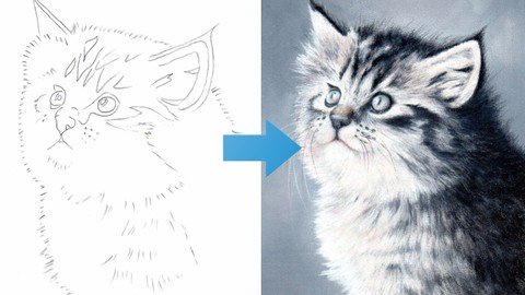 Draw this ADORABLE Kitten using Colored Pencils
