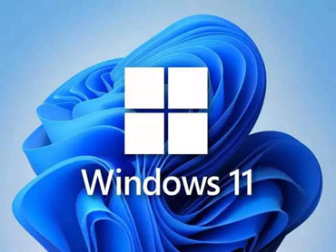 Windows 11 Installation Assistant 1.4.19041.2063