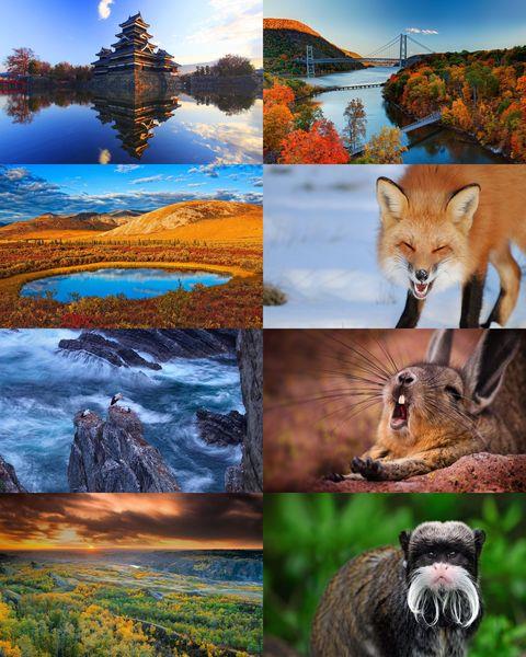 Wallpapers Mix №986