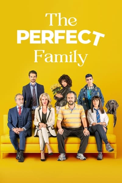 The Perfect Family (2021) [1080p] [WEBRip] [5 1]