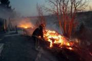 Киевлянам напомнили о штрафах за поджог травы и предупредили о чрезвычайной пожарной опасности