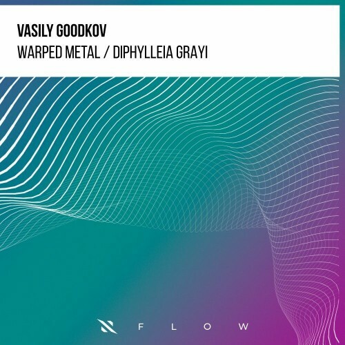 Vasily Goodkov - Warped Metal / Diphylleia Grayi (2022)