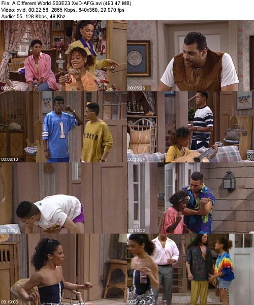 A Different World S03E23 XviD-[AFG]