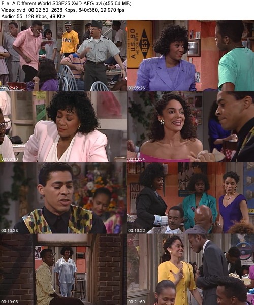 A Different World S03E25 XviD-[AFG]