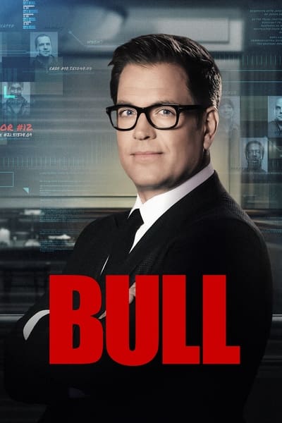 Bull 2016 S06E20 XviD-[AFG]