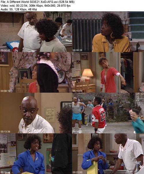 A Different World S03E21 XviD-[AFG]