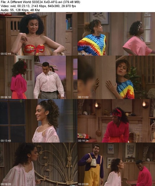 A Different World S03E24 XviD-[AFG]
