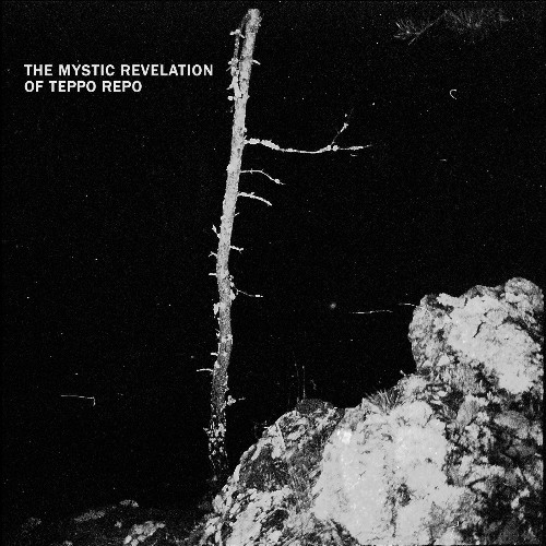 The Mystic Revelation of Teppo Repo - Kosmoksen erakko (2022)