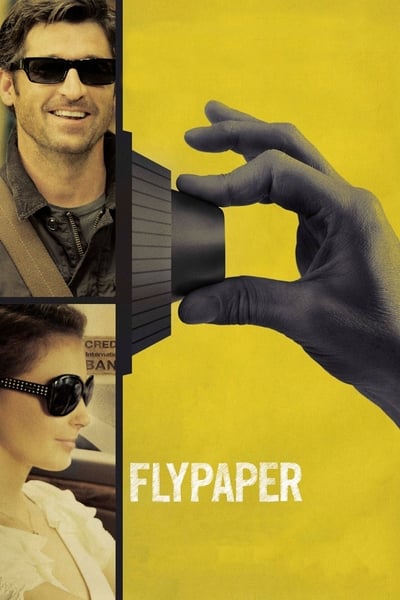 Flypaper (2011) [720p] [BluRay]