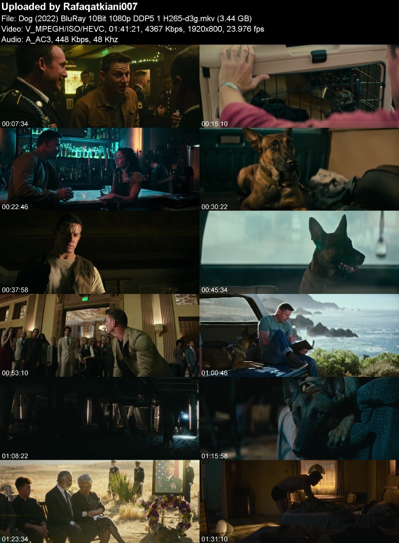 Dog (2022) BluRay 10Bit 1080p DDP5 1 H265-d3g Dog (2022) BluRay 10Bit 1080p DDP5 1 H265-d3g