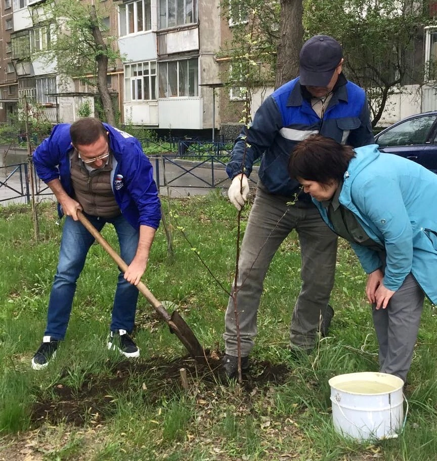 Вышли во двор