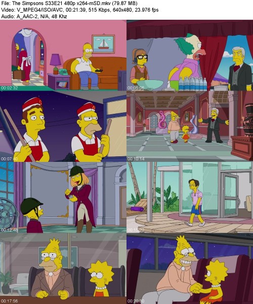 The Simpsons S33E21 480p x264-[mSD]