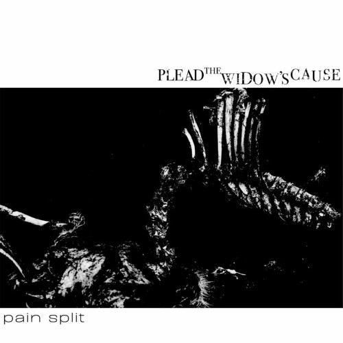 Plead The Widow''s Cause - Pain Split (2022)