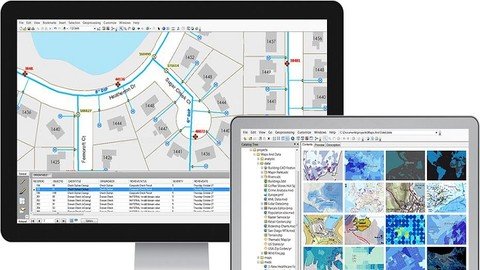 Complete ArcGIS Course : Beginner To Expert