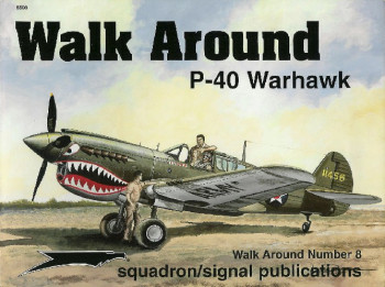 P-40 Warhawk (Walk Around 5508)