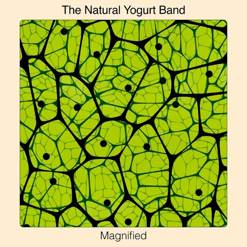The Natural Yogurt Band - Magnified (2022)